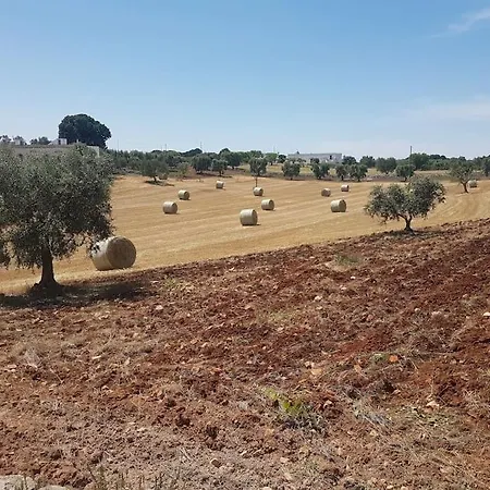 Dimora Grecale Valle D'itria * Cisternino