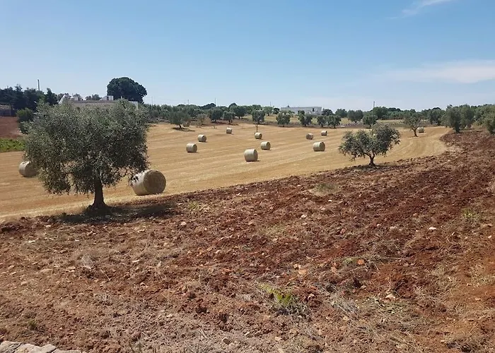 Dimora Grecale Valle D'itria * Cisternino